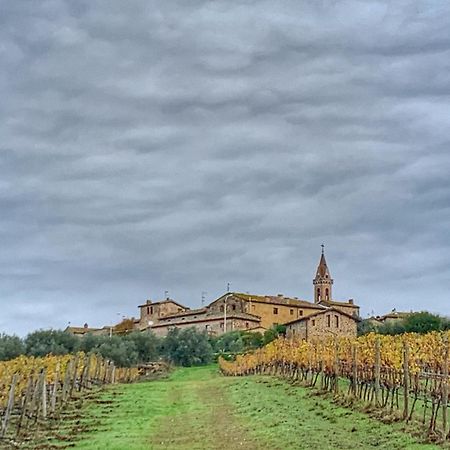 House With A View In Tuscany San Gusme Exteriör bild