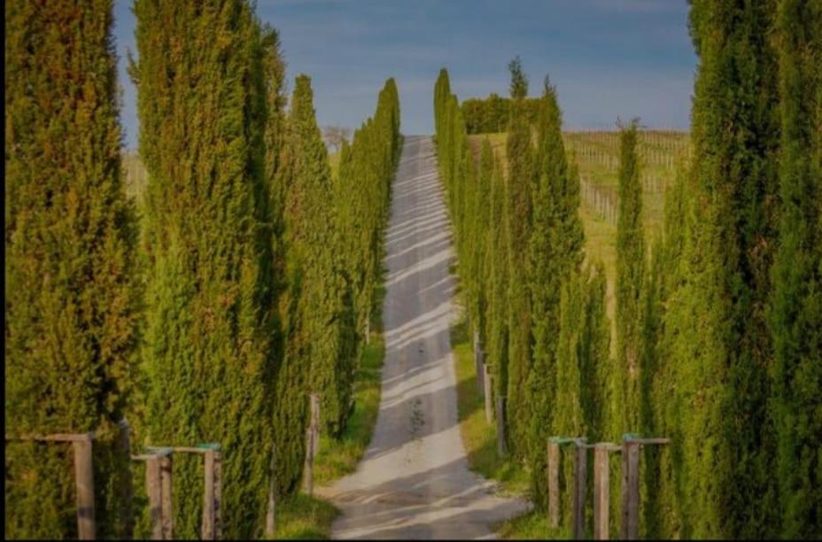 House With A View In Tuscany San Gusme Exteriör bild