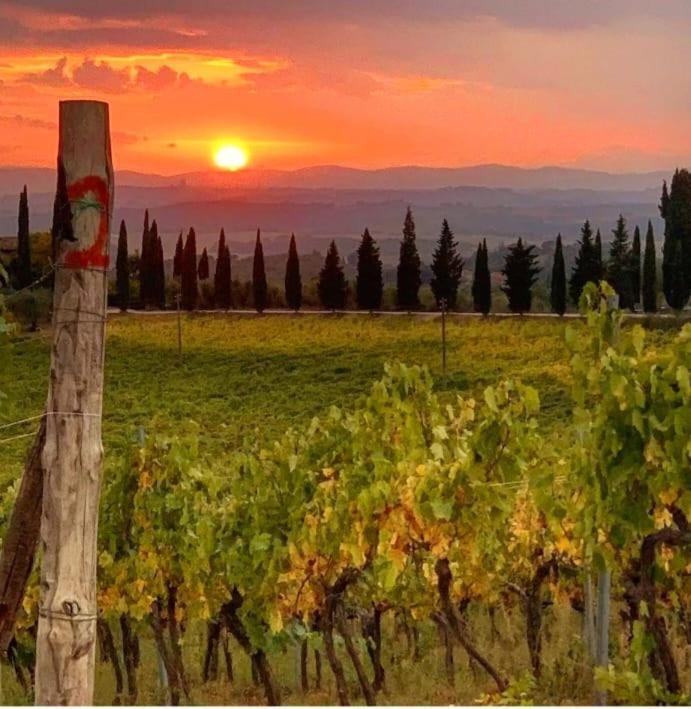 House With A View In Tuscany San Gusme Exteriör bild