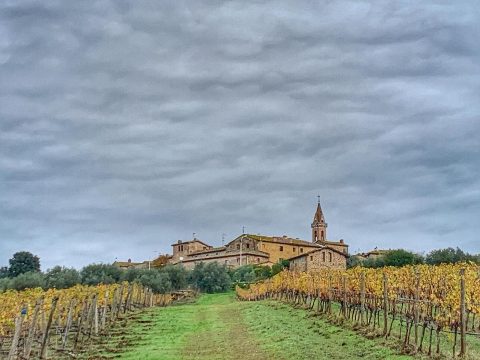 House With A View In Tuscany San Gusme Exteriör bild