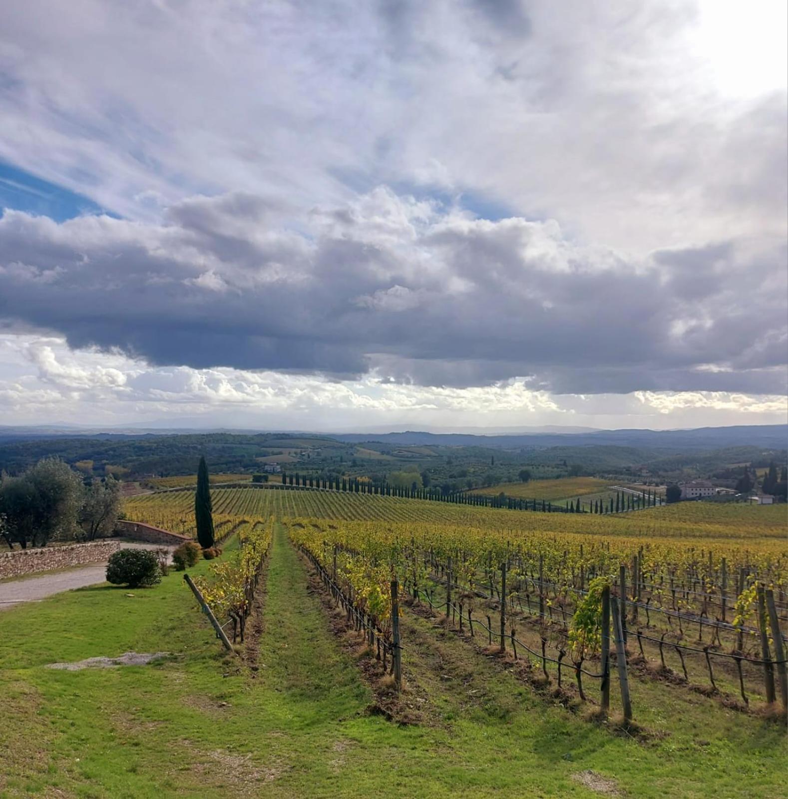 House With A View In Tuscany San Gusme Exteriör bild