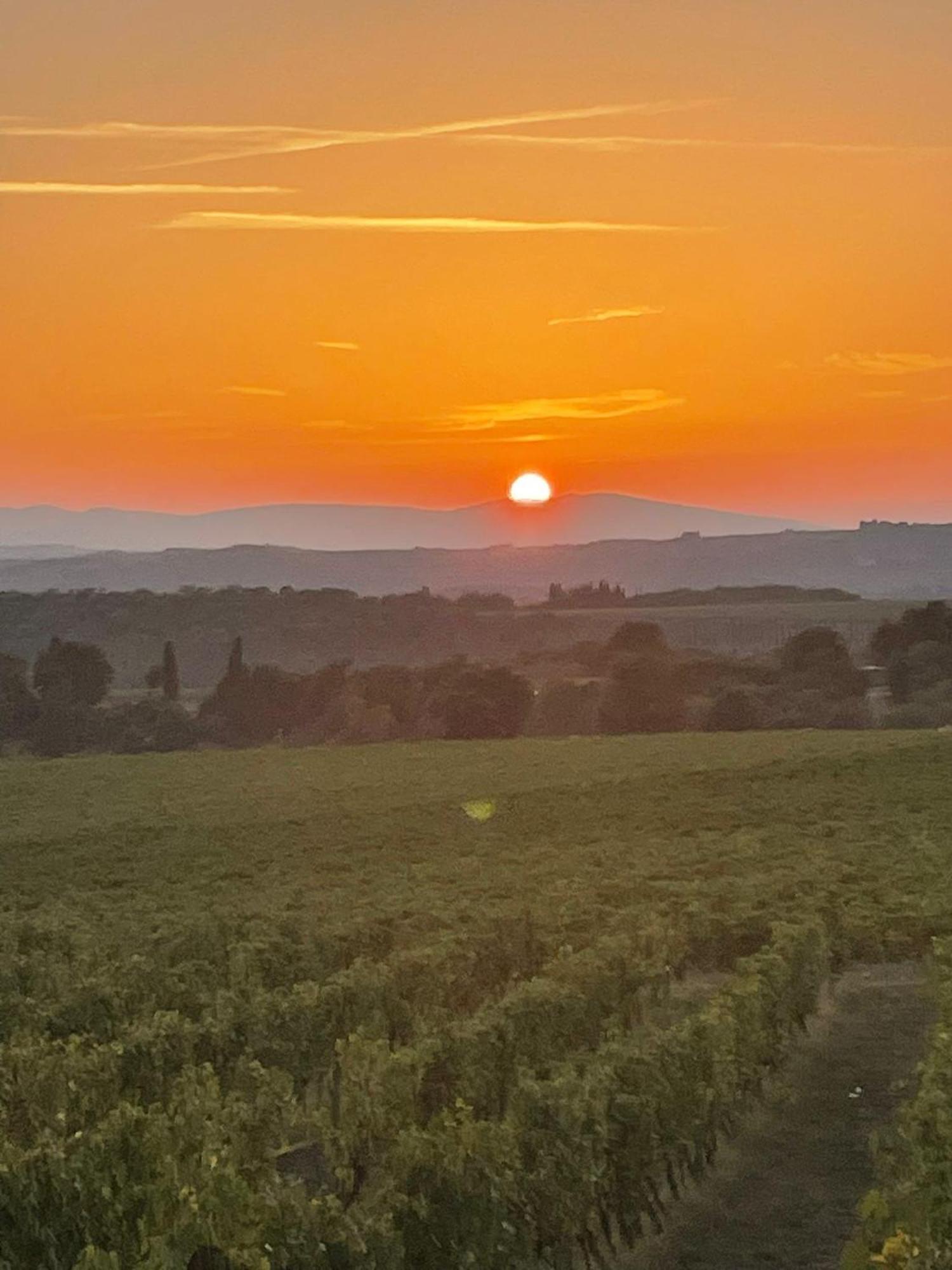 House With A View In Tuscany San Gusme Exteriör bild