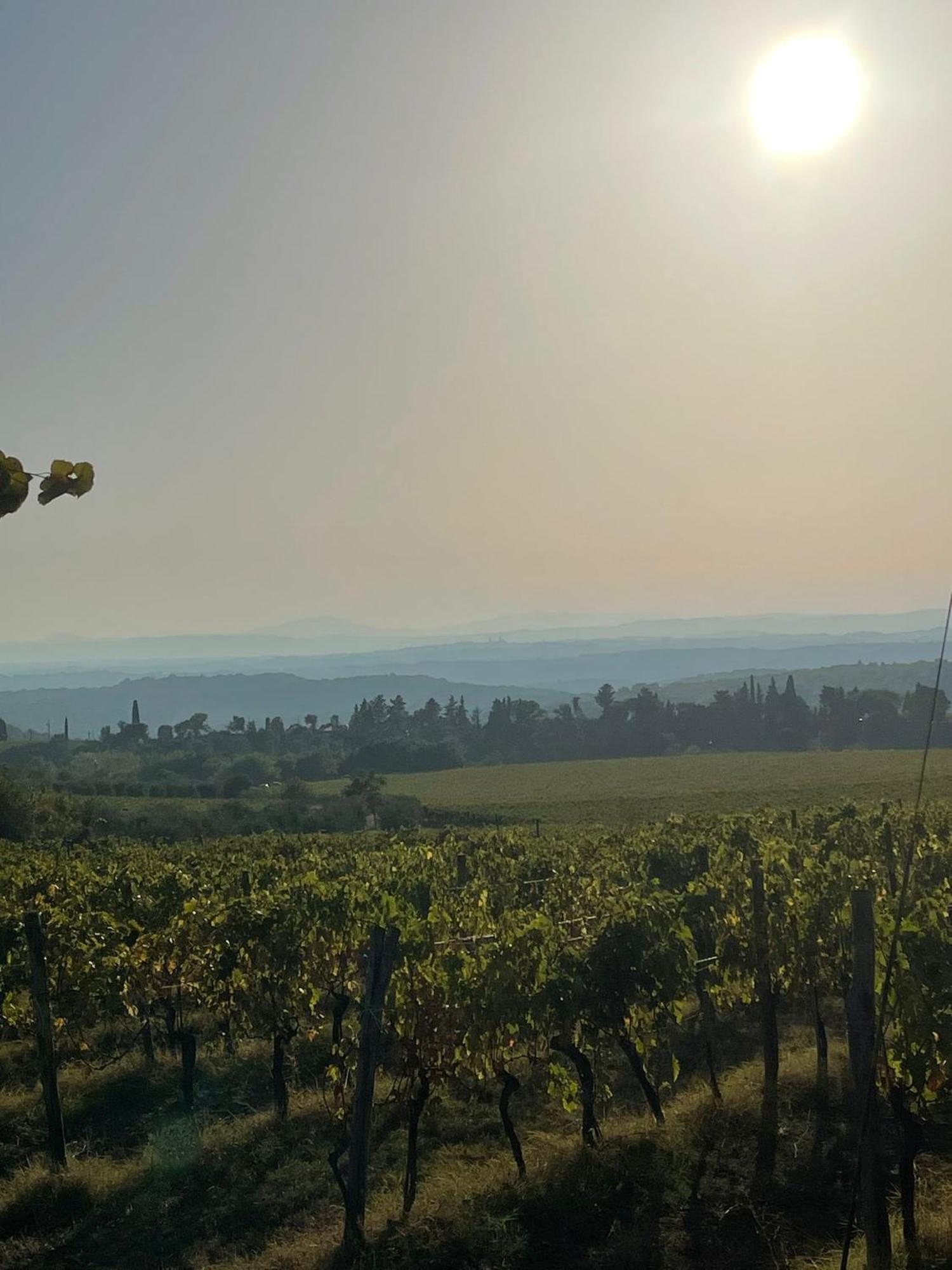 House With A View In Tuscany San Gusme Exteriör bild