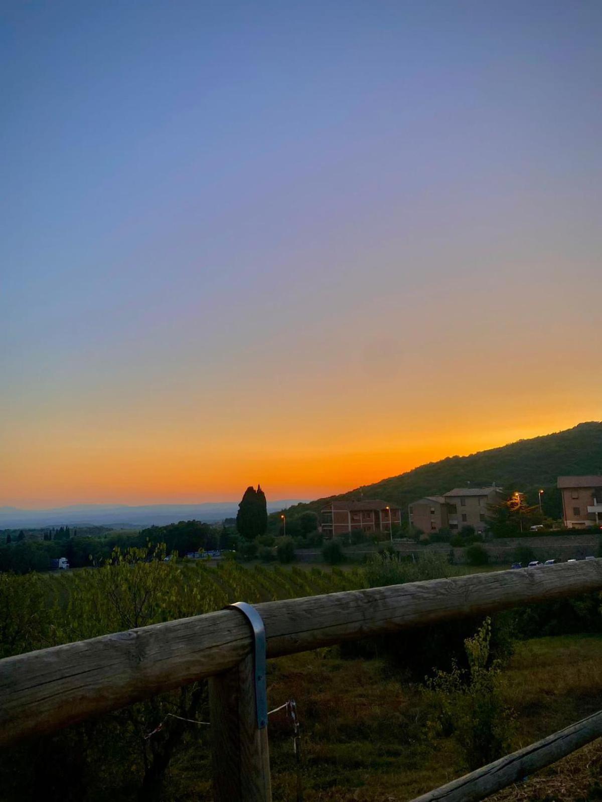 House With A View In Tuscany San Gusme Exteriör bild