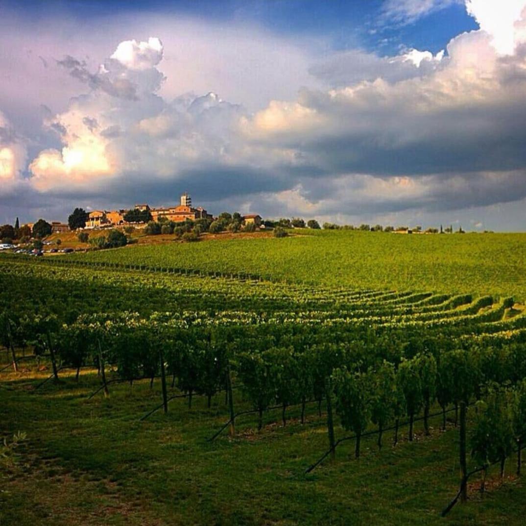 House With A View In Tuscany San Gusme Exteriör bild